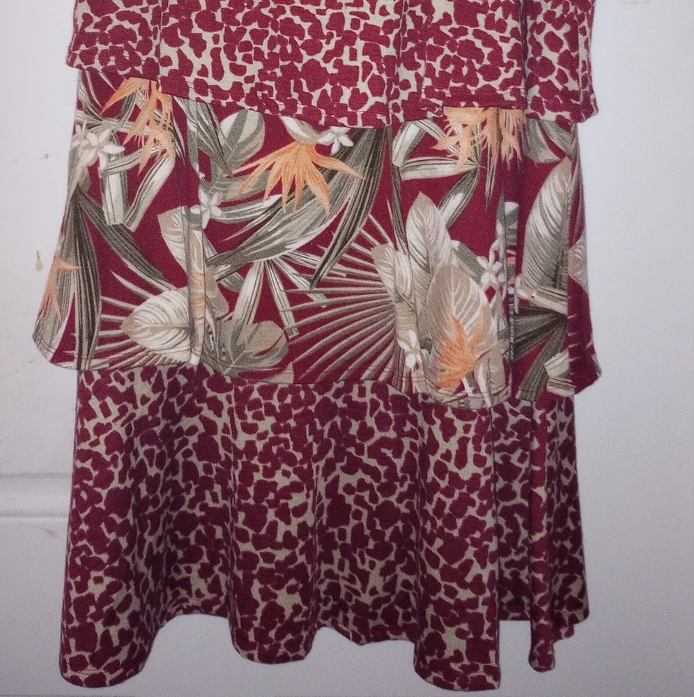 Long Lovely Layered Skirt and Top - Picture 2 of 6